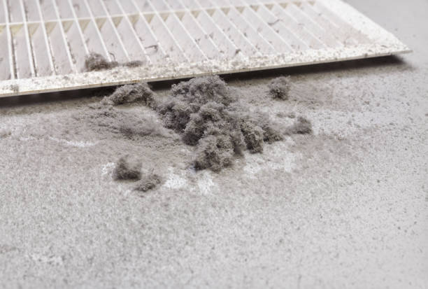 Best Professional Duct Cleaning Services  in Keary, NE