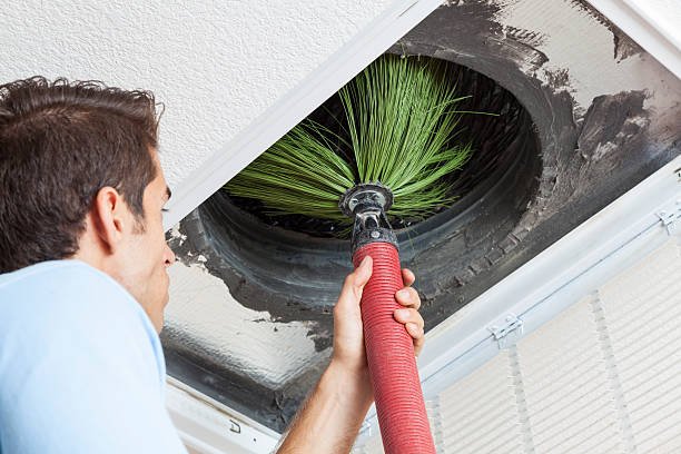 Best Air Duct Mold Removal  in Keary, NE